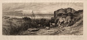 Am Marblehead Neck von James David Smillie