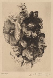 Dunkle Einzelne Stockrosen von James David Smillie