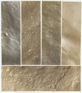 Ichnographien aus dem Sandstein des Connecticut River, veröffentlicht 1861