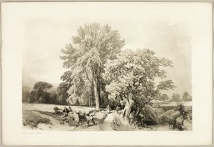 Esche und Eiche, aus Der Park und der Wald von James Duffield Harding