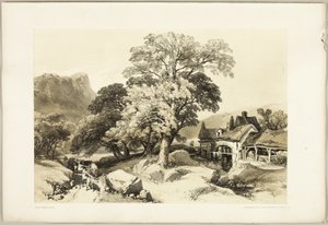 Esche und Eiche, aus The Park and the Forest von James Duffield Harding