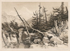 Kiefern und Brücke, 1841