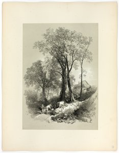 Shipley Bridge, Devon, aus Picturesque Selections von James Duffield Harding