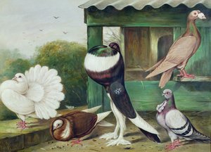 Unbekanntes Bild von James E. Bourhill