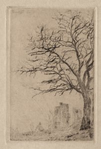 Akazie von James Ensor
