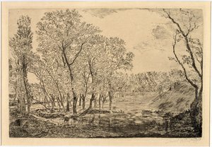 Der Teich mit den Pappeln von James Ensor