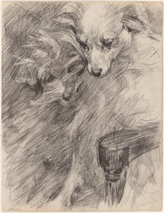 Zwei Hunde in einem Sessel von James Ensor