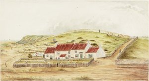 Der Waschhaus-Hügel (Betty Heron