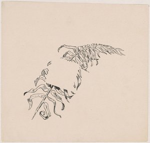 Zweig