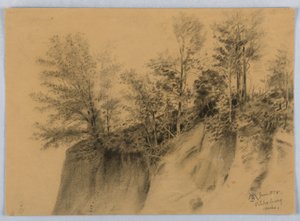 Klippe und Bäume, Vicksburg, Miss.