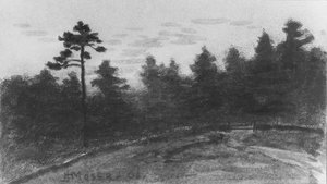 Landschaft aus dem McGuire Scrapbook, 1908