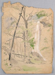 Wasserfall
