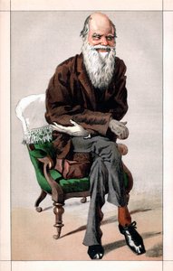 Porträt von Charles Darwin