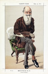 Charles Darwin, Men of the Day, Nr. 33, Natürliche Selektion, aus Vanity Fair, veröffentlicht 1871