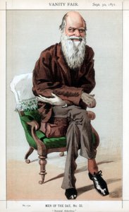 Natürliche Auslese, 1871