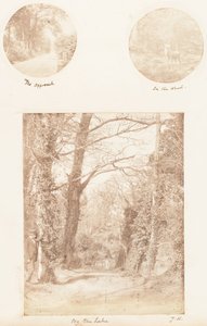 Der Ansatz, Im Wald, Am See, 1853-56