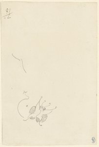Schmetterling