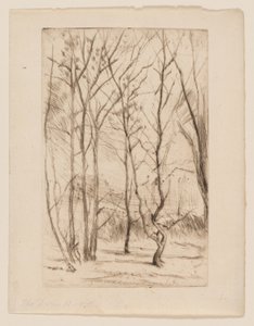 Der Dammwald von James Abbott McNeill Whistler