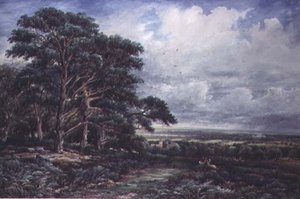 Bradgate Park bei Leicester von James Orrock