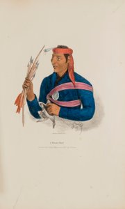 Ein Miami-Häuptling, aus The Aboriginal Portfolio von James Otto Lewis