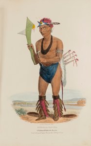 CUT-TAA-TAS-TIA; Ein berühmter Häuptling des Fuchs-Stammes, aus The Aboriginal Portfolio von James Otto Lewis