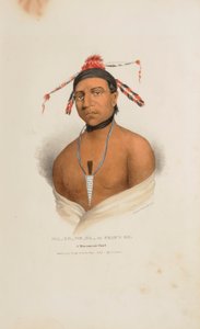 MA-KO-ME-TA oder das Bärenöl; Ein Monomonie-Häuptling, aus The Aboriginal Portfolio
