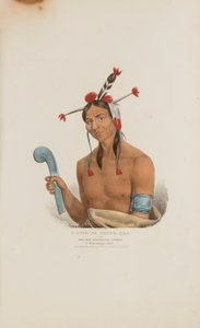O-CHE-NA-SHINK-KAD oder der Mann, der steht und schlägt; Ein Winnebago-Häuptling, aus dem Aboriginal Portfolio von James Otto Lewis
