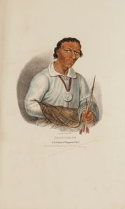 PE-SCHICK-EE; Ein berühmter Chippeway-Häuptling, aus The Aboriginal Portfolio von James Otto Lewis