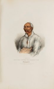 SHOUNK-CHUNK der Schwarze Wolf; Ein Winnebago-Häuptling, aus dem Aboriginal Portfolio von James Otto Lewis