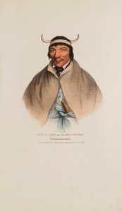 SUN-A-GET oder Harte Zeiten; Ein Pottawatomie-Häuptling, aus The Aboriginal Portfolio von James Otto Lewis