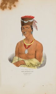 WAA-BIN-DE-BA oder der Weißkopf-Adler; Ein Chippeway-Häuptling, aus The Aboriginal Portfolio