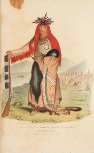 WAA-NA-TAA oder der Vorderste im Kampf; Häuptling des Sioux-Stammes, aus Das Aboriginal Portfolio