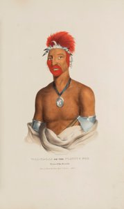 WAA-PA-LAA oder der Spielende Fuchs; Prinz des Fuchs-Stammes, aus The Aboriginal Portfolio von James Otto Lewis