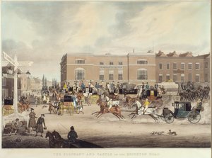 Der Elefant und das Schloss an der Brighton Road