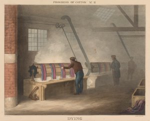 Fortschritt der Baumwolle: Nr. 11 - Färben