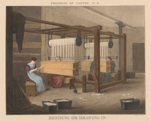Fortschritt der Baumwolle: #9 - Reeding oder Einziehen