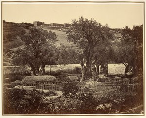 Der Garten Gethsemane