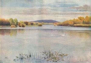 Vachery-Teich, 1911, 1914