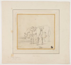 Zwei trinkende Pferde von James Seymour