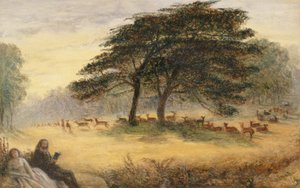 Liebende im Richmond Park (Windsor Park)