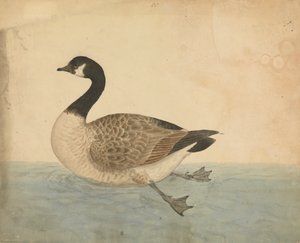 Eine Gans