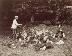 Warten auf die Ponys von James Valentine