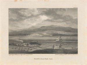 Flint, von Park-Gate