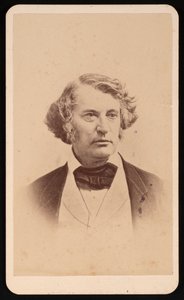 Porträt von Charles Sumner 1811-1874, vor 1874