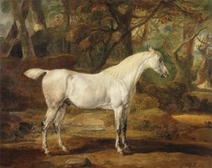 Ein grauer arabischer Hengst, Eigentum von Sir Watkin Williams-Wynn, ca. 1815-20
