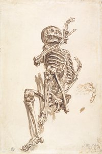 Ein menschliches Skelett (recto)