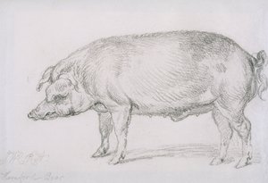 Hereford Eber, ca. 1803-04 von James Ward