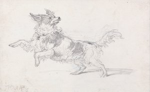 Lady Londonderrys Hund von James Ward