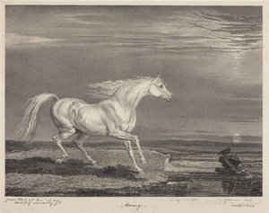 Marengo von James Ward