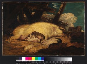 Schweine, nicht vor 1793 von James Ward